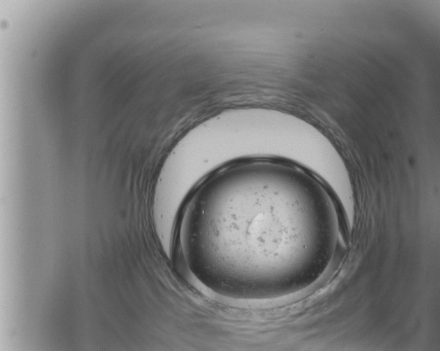 X0000061760045200512050944