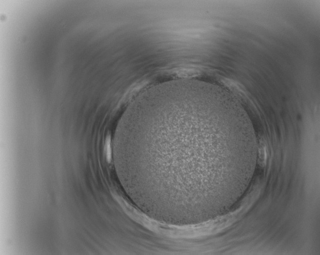 X0000061760046200512050944