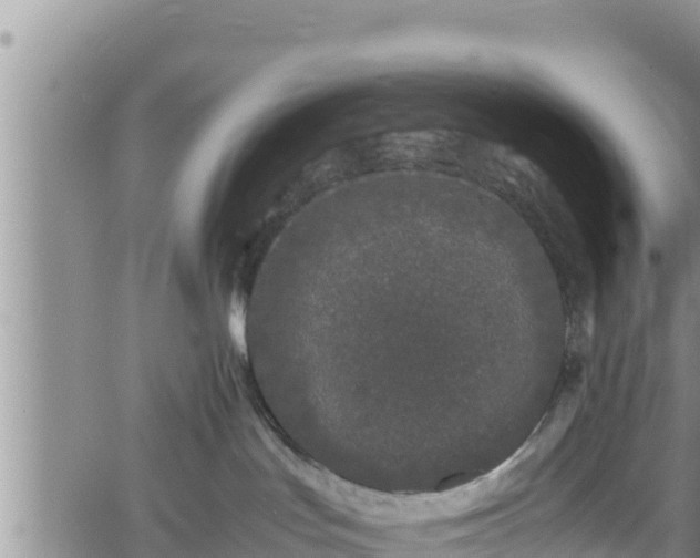 X0000061760047200512050944