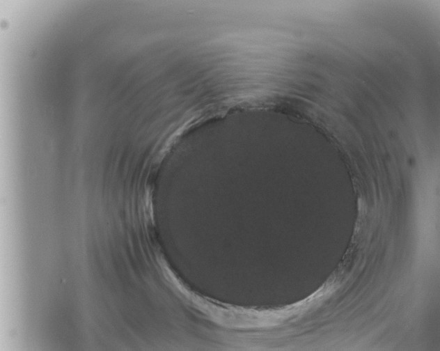 X0000061760048200512050944