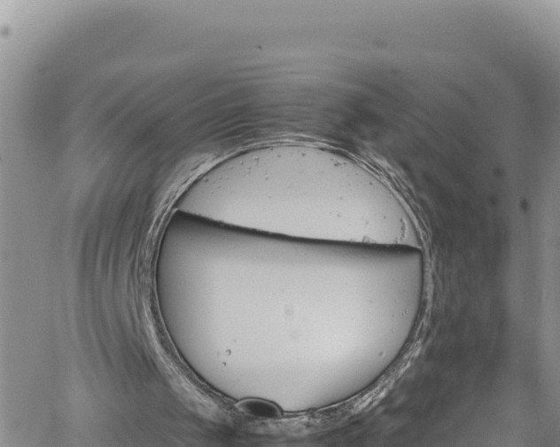 X0000061760049200512050943