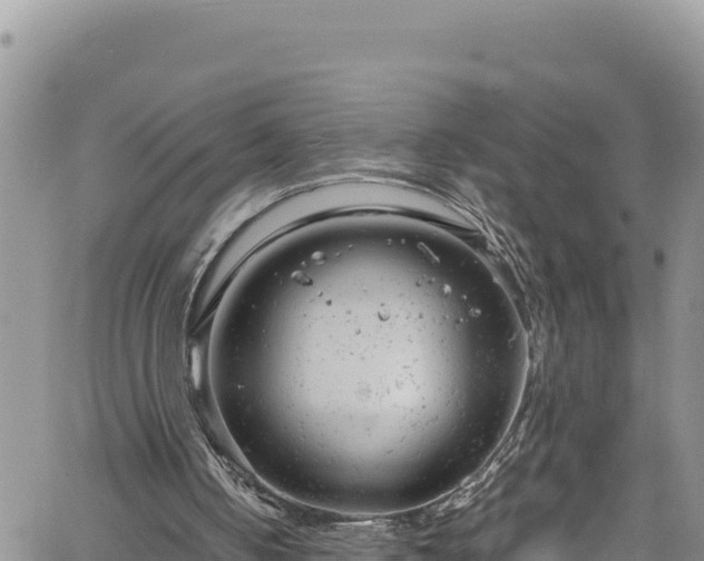 X0000061760050200512050943