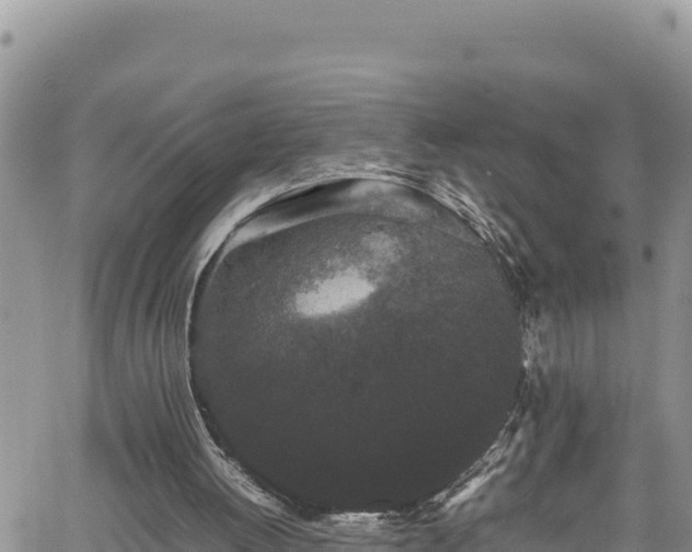 X0000061760052200512050943