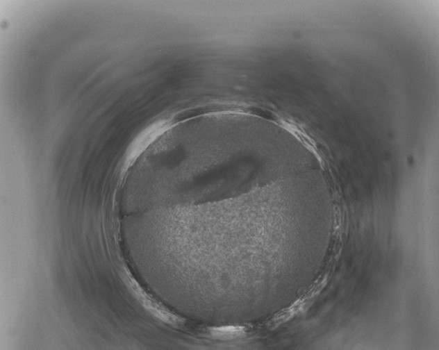 X0000061760053200512050943