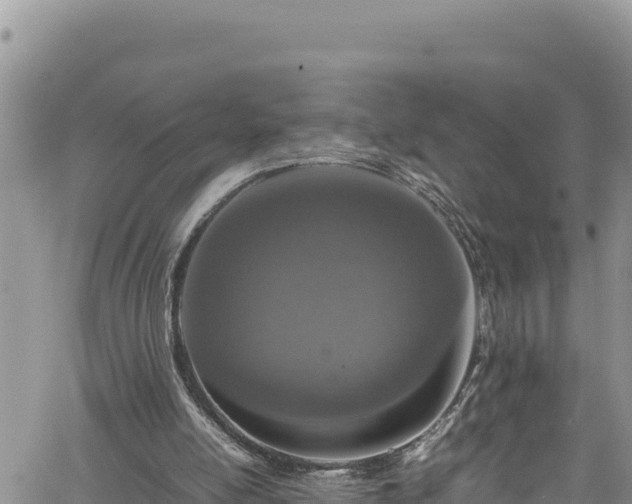 X0000061760054200512050943