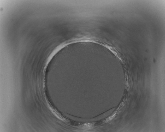 X0000061760056200512050943