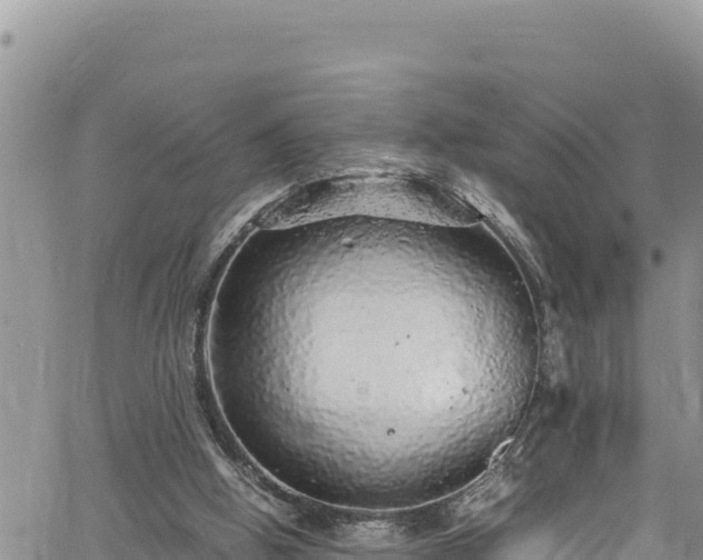 X0000061760058200512050943