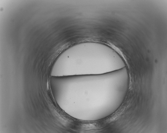 X0000061760061200512050943