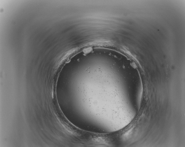 X0000061760062200512050943