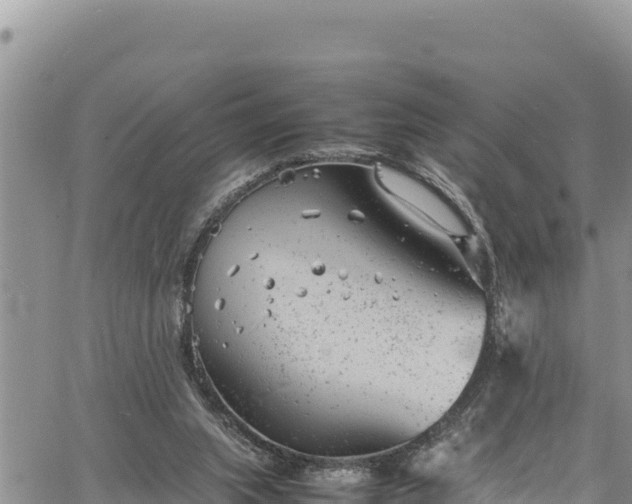 X0000061760063200512050943