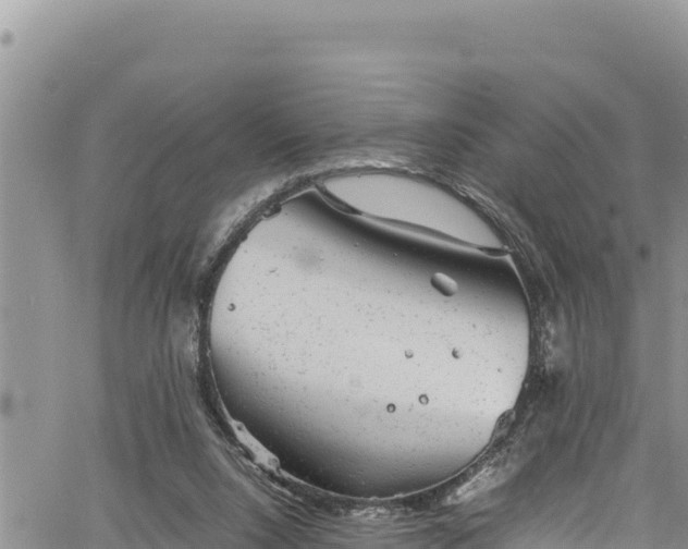 X0000061760064200512050944