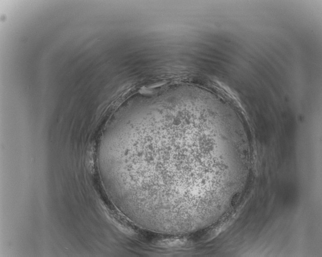 X0000061760065200512050944