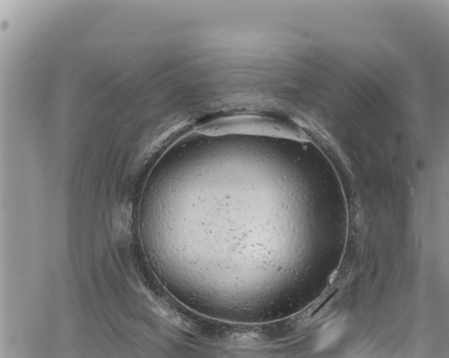 X0000061760066200512050944