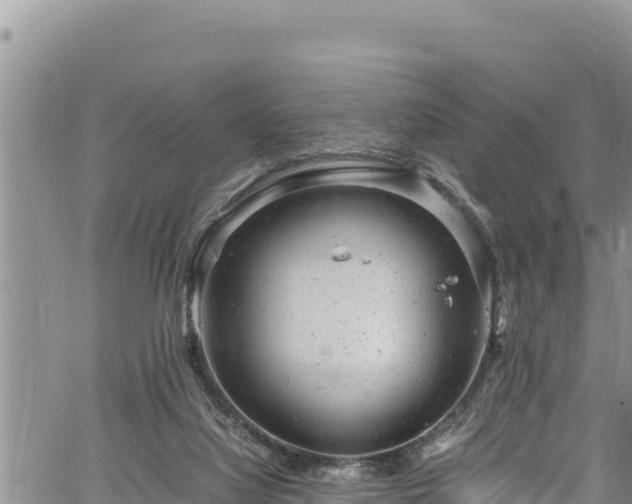 X0000061760068200512050944