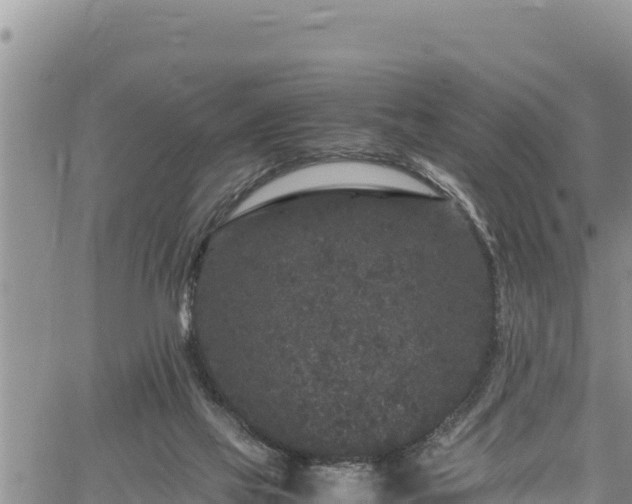 X0000061760069200512050944