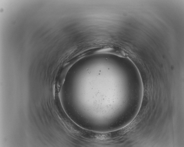 X0000061760070200512050944