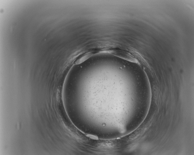 X0000061760071200512050944