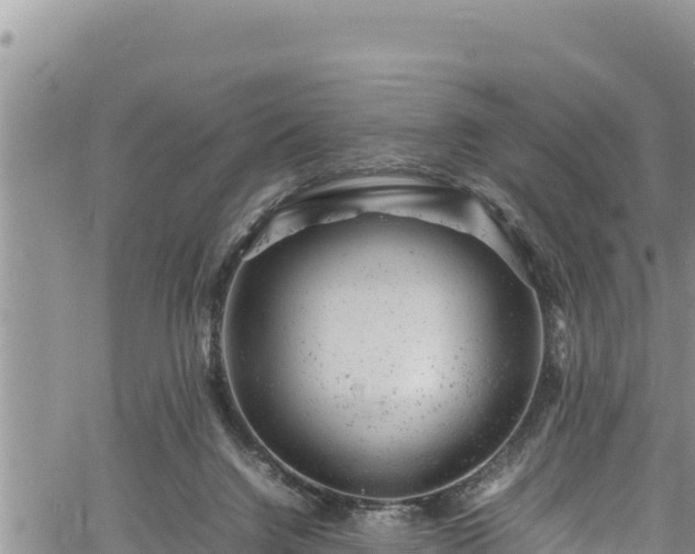 X0000061760072200512050944