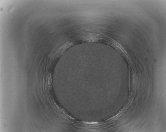 X0000061760073200512050944