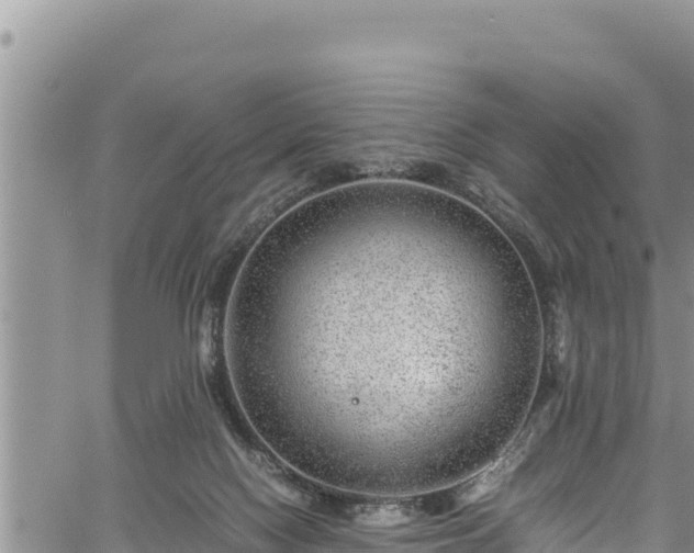 X0000061760074200512050944