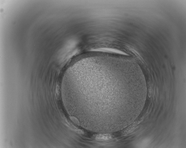 X0000061760077200512050944