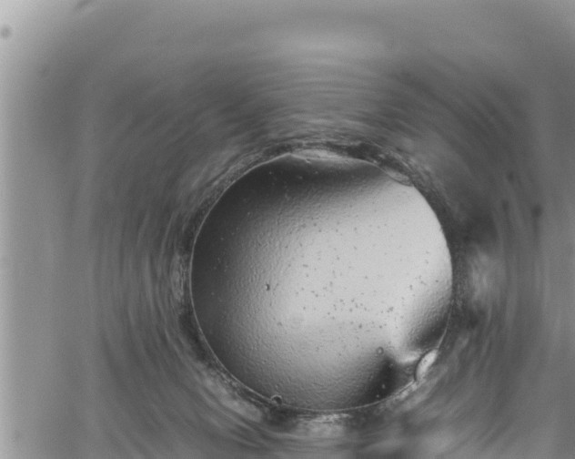 X0000061760078200512050944