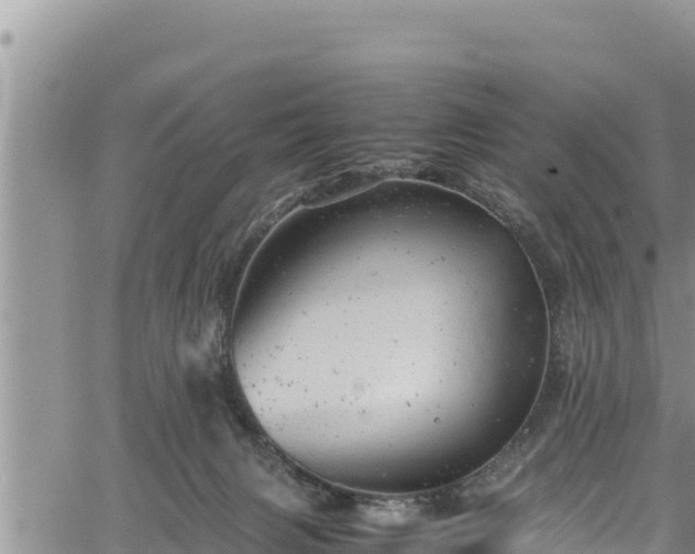 X0000061760079200512050944