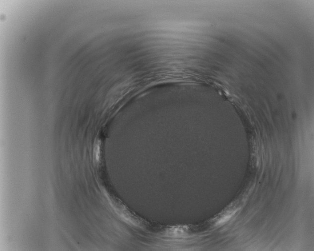 X0000061760080200512050944