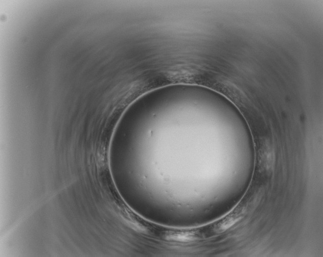 X0000061760081200512050944