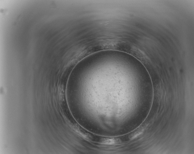 X0000061760083200512050944