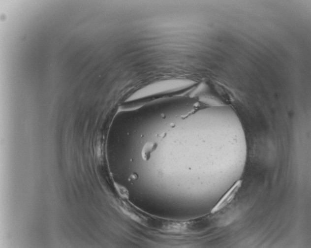 X0000061760084200512050944