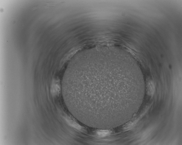 X0000061760085200512050944