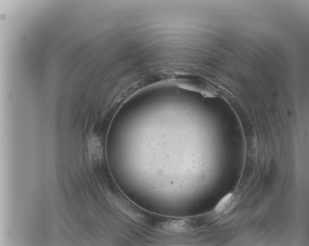 X0000061760086200512050944