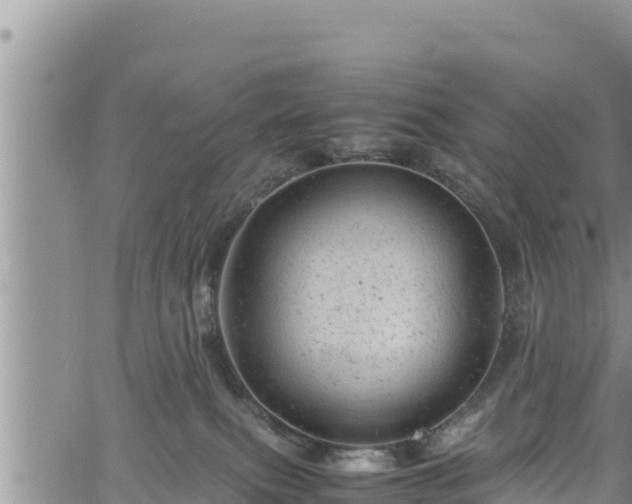 X0000061760087200512050944