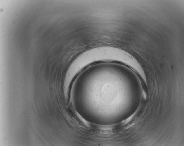 X0000061760088200512050944