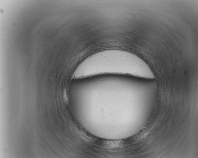 X0000061760089200512050944