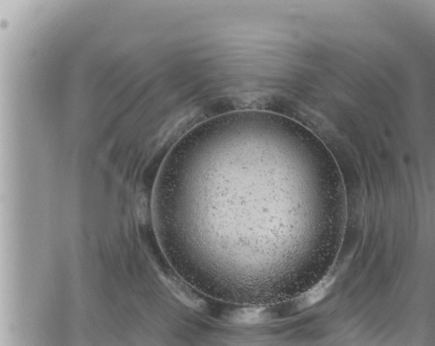 X0000061760090200512050944