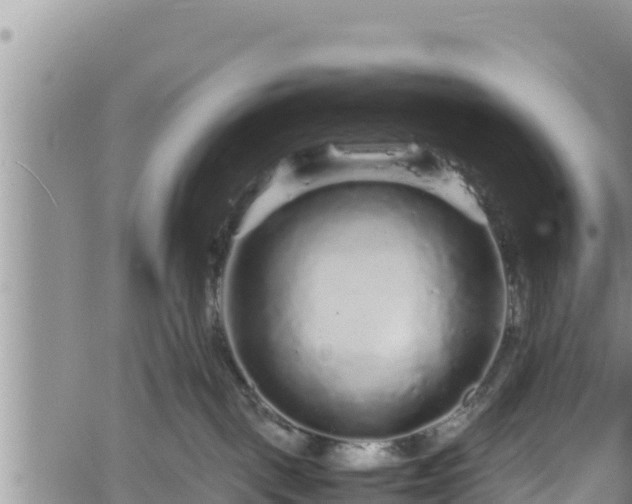 X0000061760093200512050944