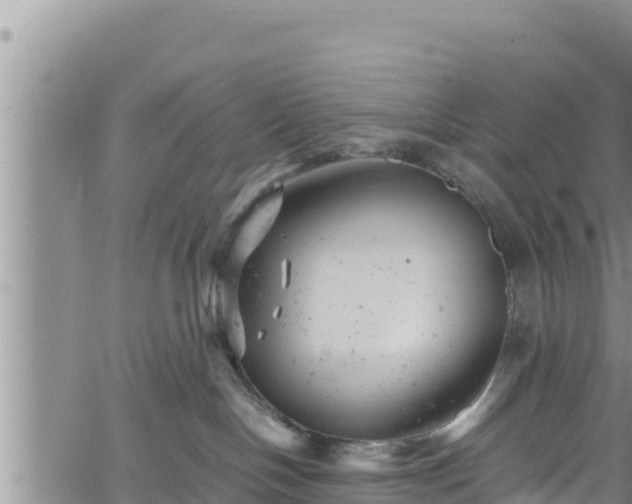 X0000061760094200512050944