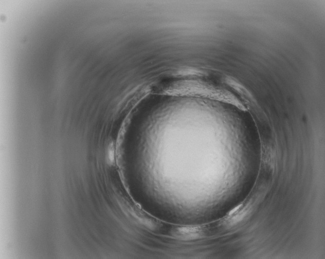 X0000061760095200512050944