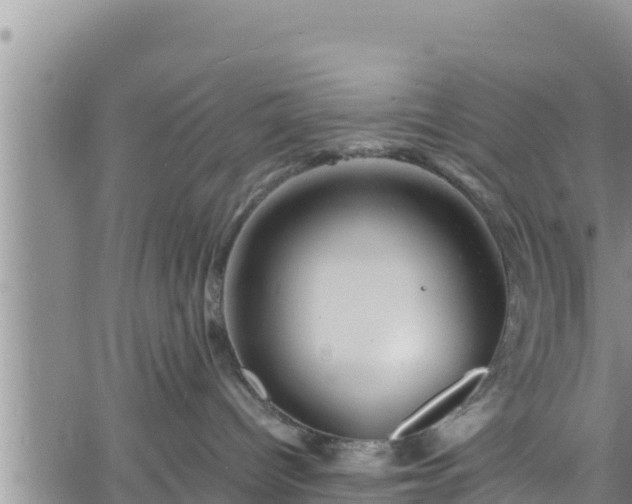 X0000061760096200512050944