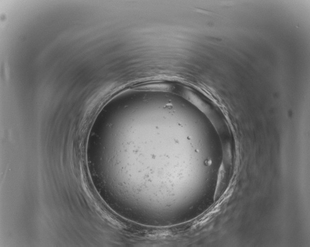 X0000061760097200512050943