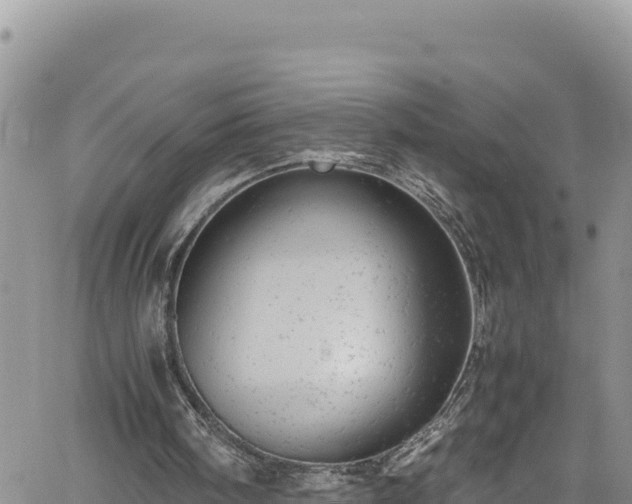 X0000061760098200512050943