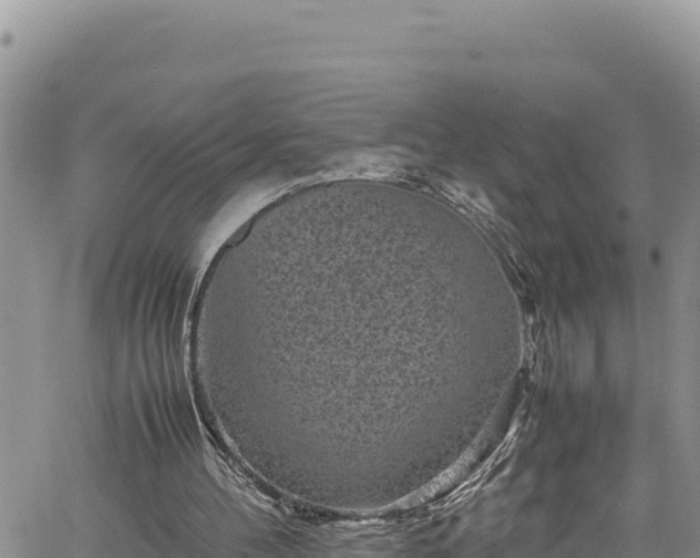 X0000061760100200512050943