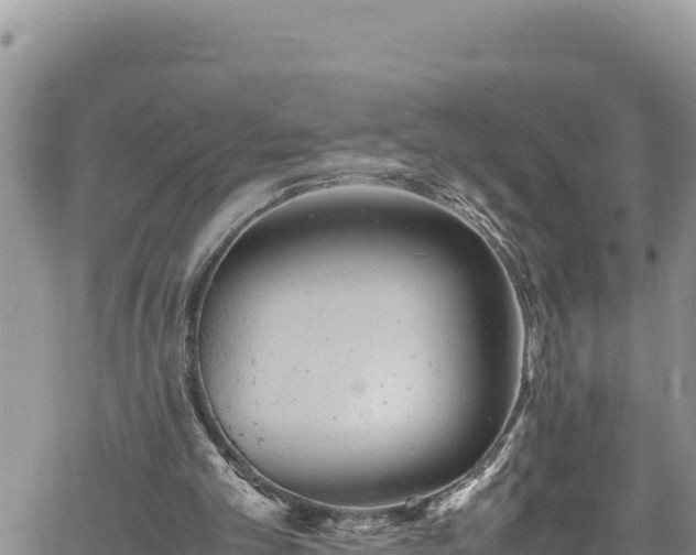 X0000061760101200512050943