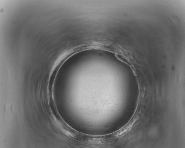 X0000061760102200512050943