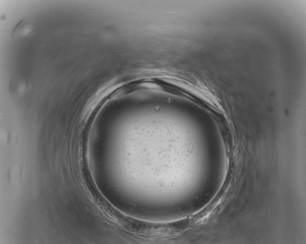 X0000061760103200512050943