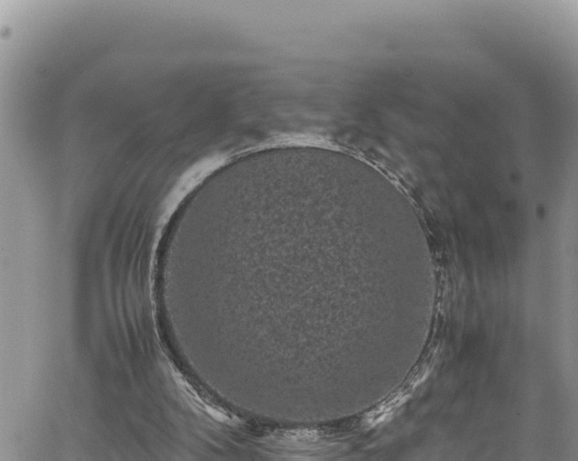 X0000061760104200512050943