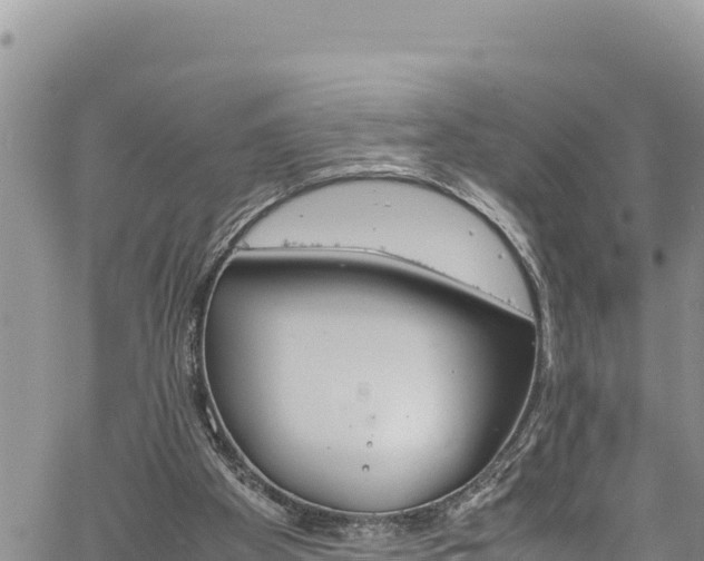 X0000061760105200512050943