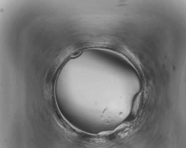 X0000061760107200512050943